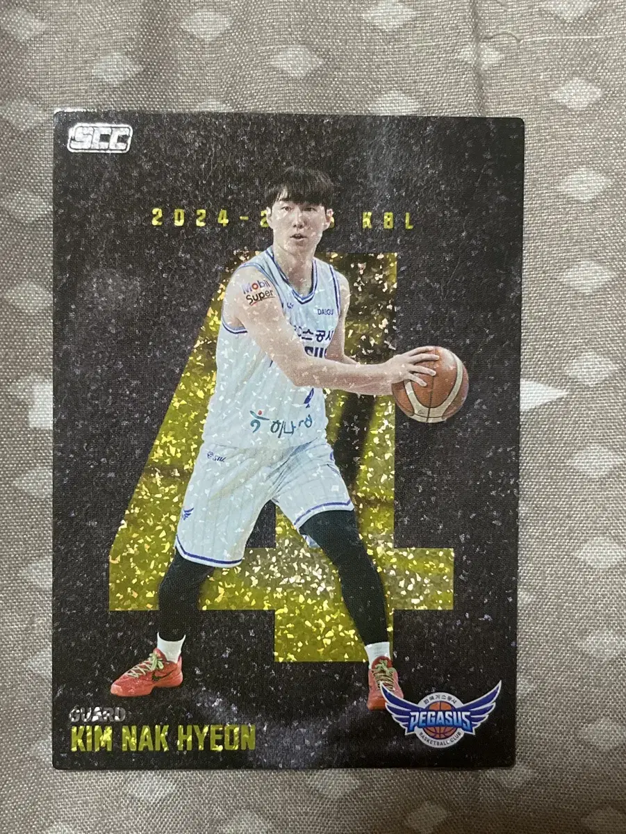 kbl 카드 김낙현가스공사 골드패러럴