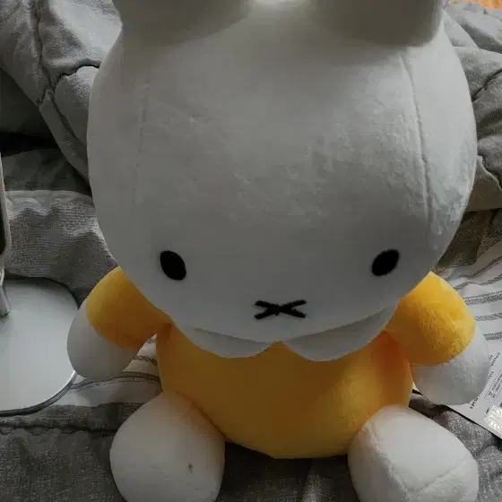 정품 토끼 인형 25cm