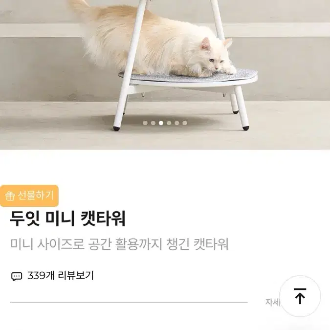 두잇 캣타워