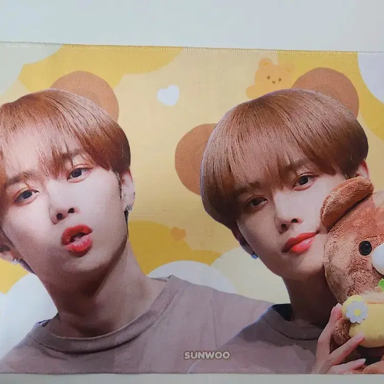 더보이즈 TZB 선우 김선우 인형 슬로건 양도해용 떤냐 떤구리