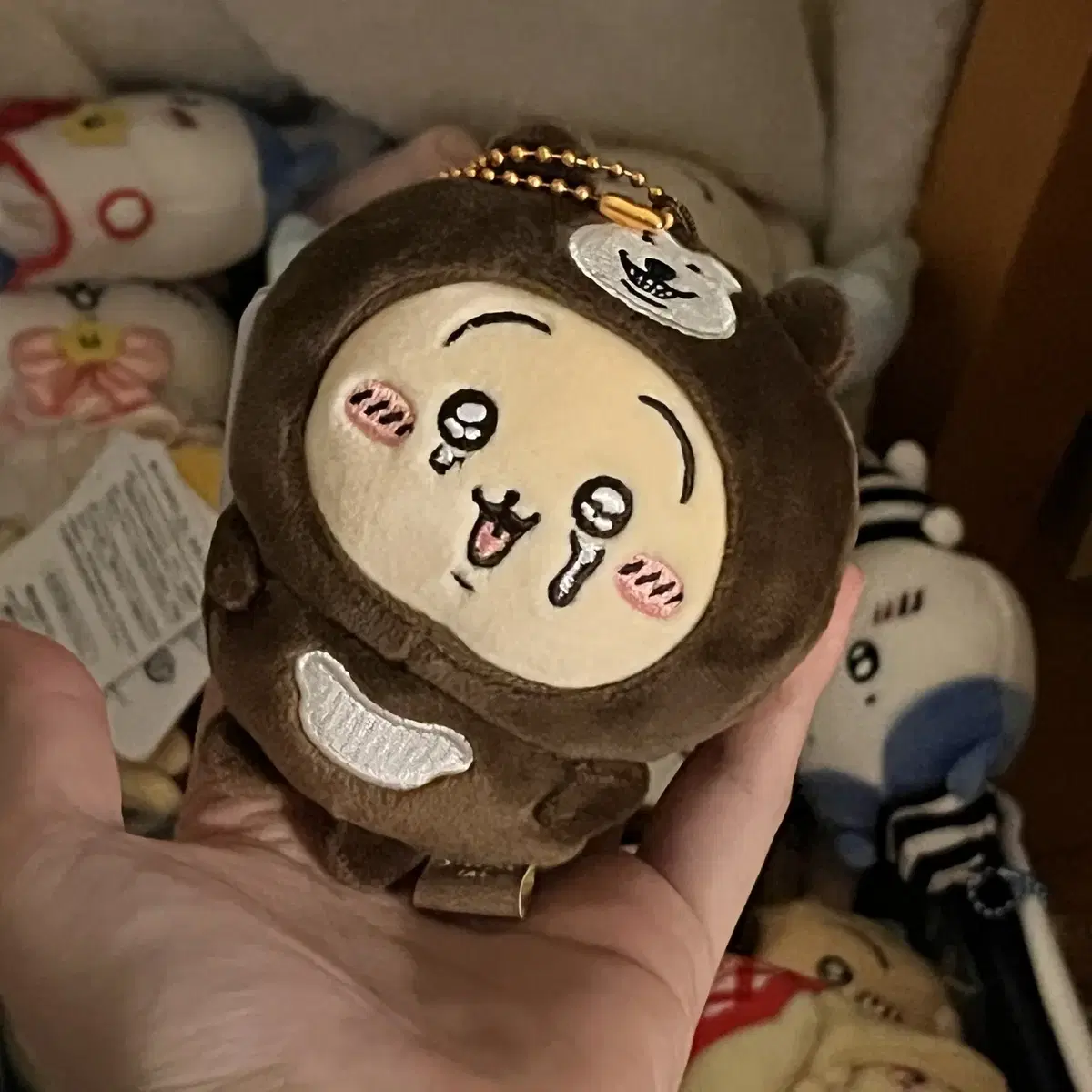 치이카와 말레이곰 우사기 마스코트