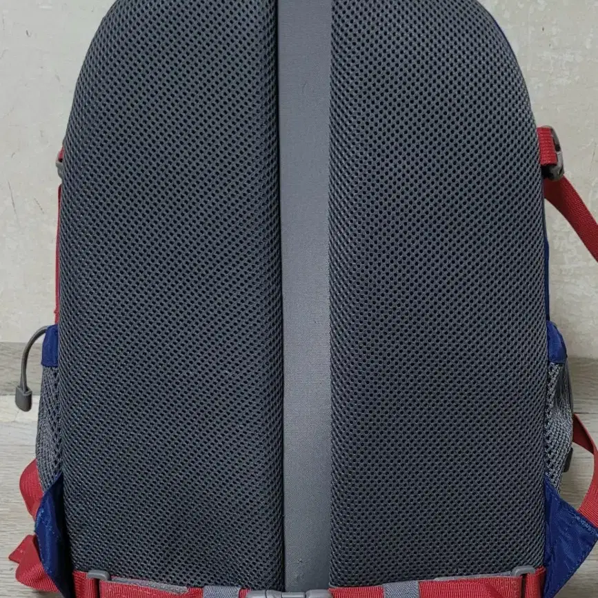 노스페이스 NORTH FACE 미니샷 등산배낭 여행캠핑백팩 20L