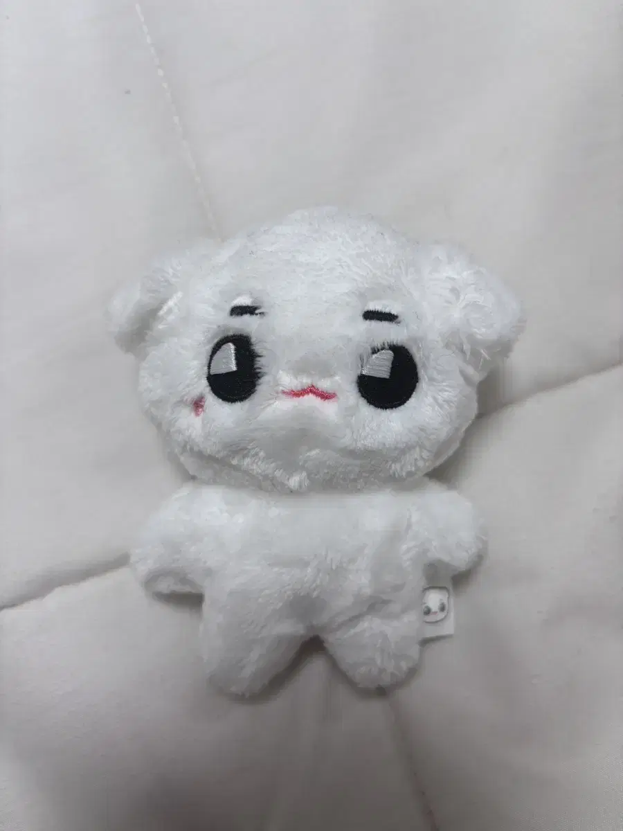 툥야 태용 10cm 인형