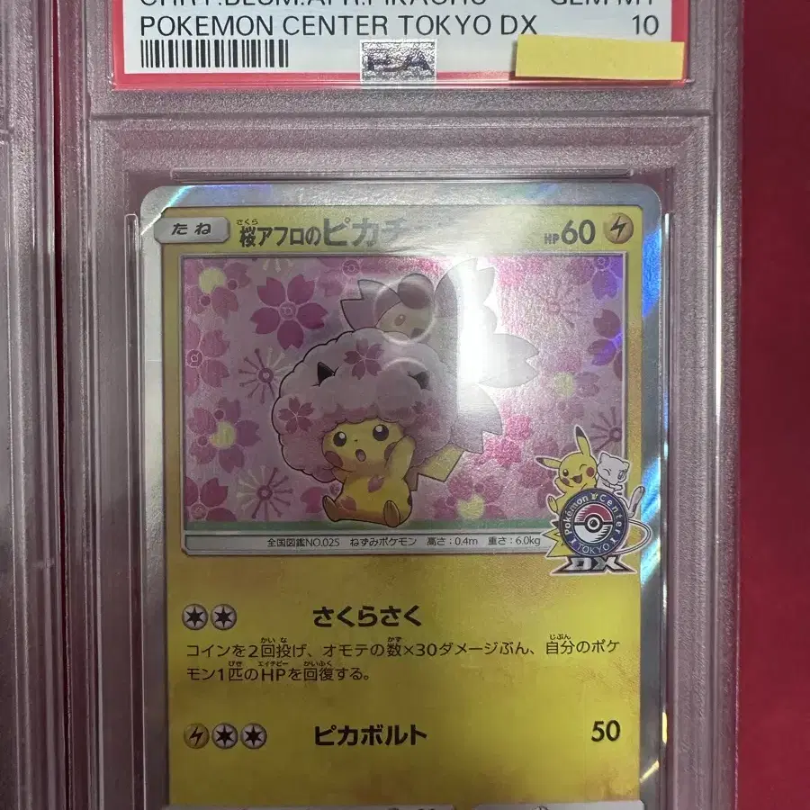 포켓몬카드 벚꽃 피카츄 프로모 PSA10