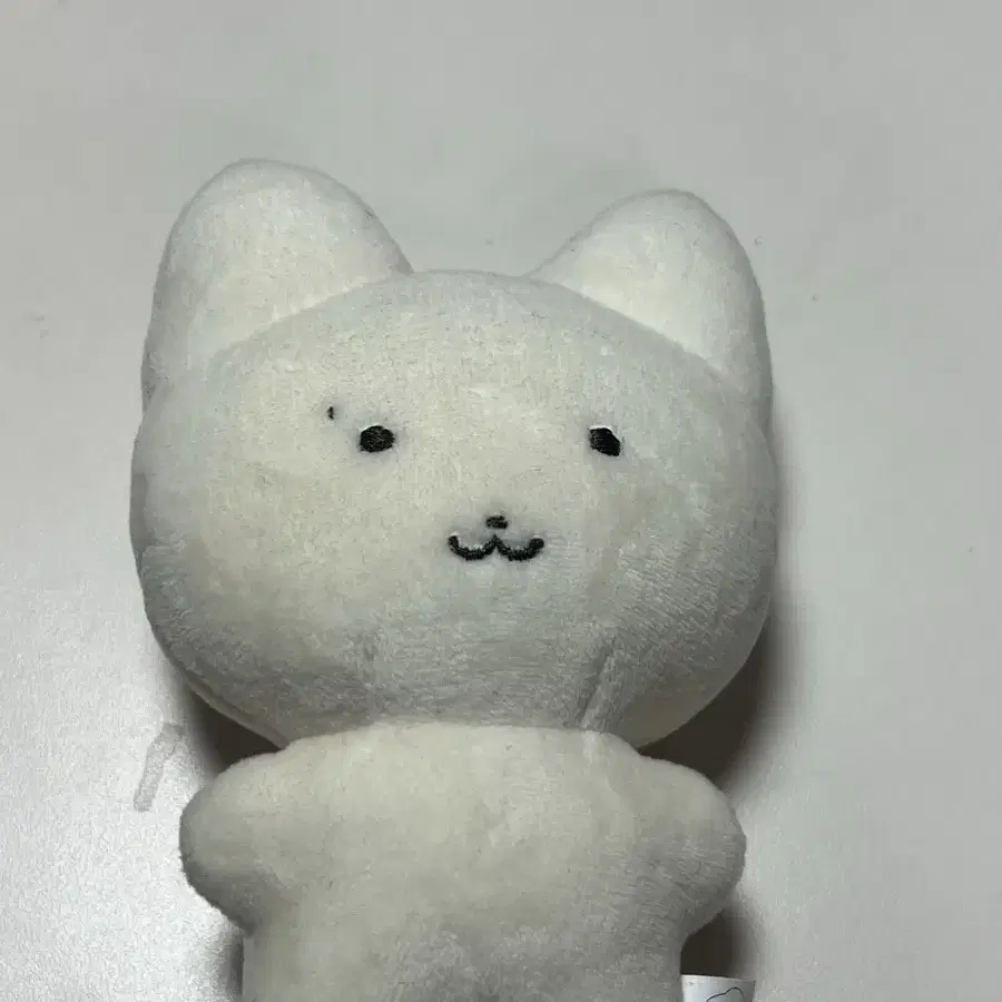 더보이즈 주연 인형 쮸부냥 양도