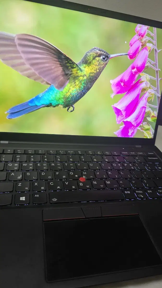 씽크패드 Lenovo X1 Carbon Gen9 (i7, WWAN(5G)