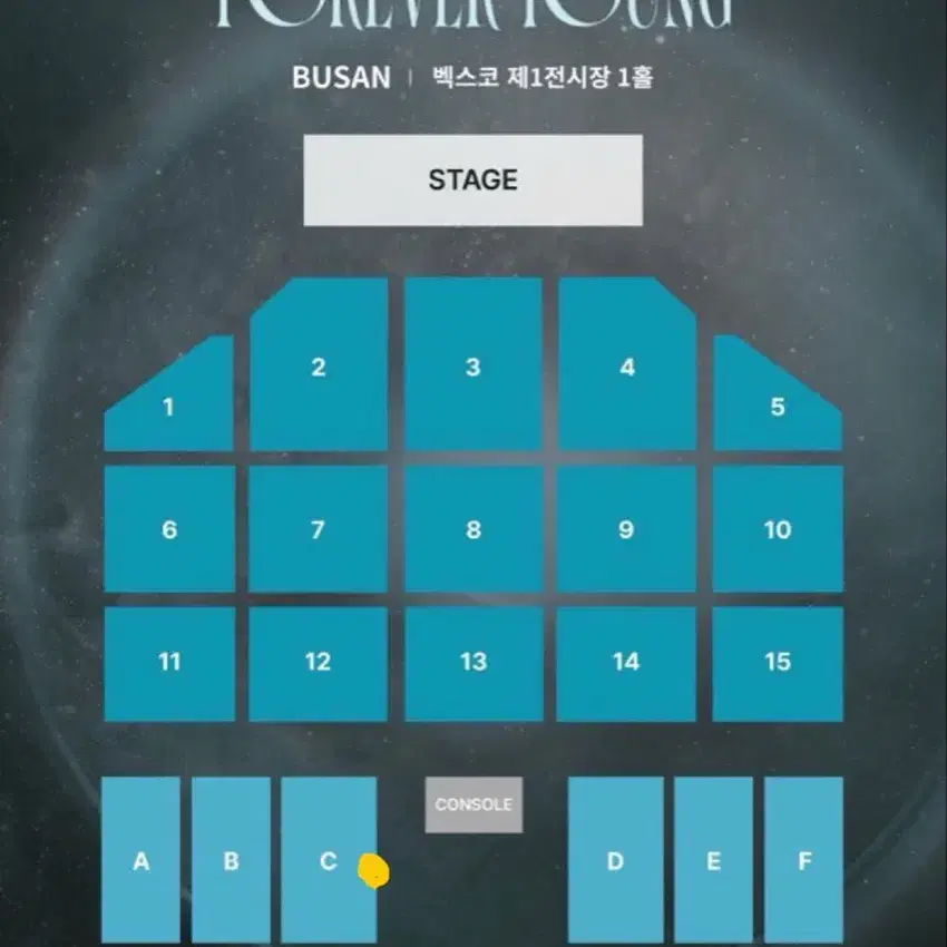 데이식스 포에버영 부산 콘서트 막콘 양도