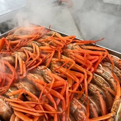 포항 구룡포 연지 홍게 _설맞이 행사 _