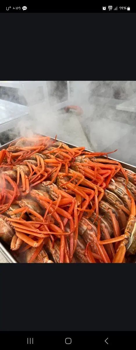 포항 구룡포 연지 홍게 _설맞이 행사 _