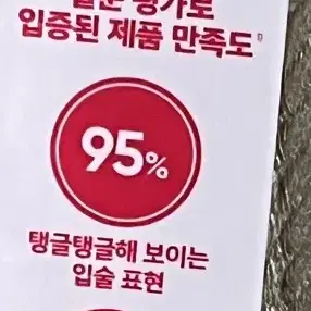 [미개봉새제품] 바닐라코 립플럼퍼 맥시 아이스크림컬러 에디션