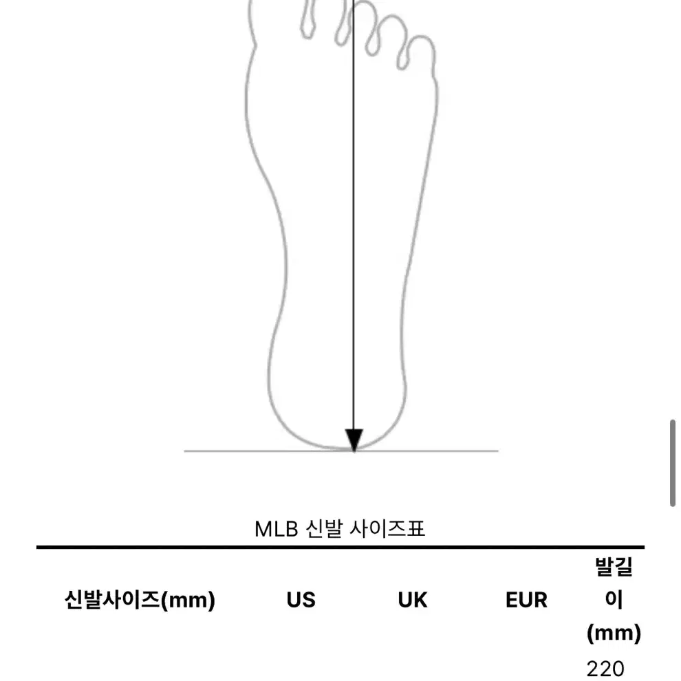 MLB / 새상품 / 커브 러너 뉴욕양키스 230 (원가14만)