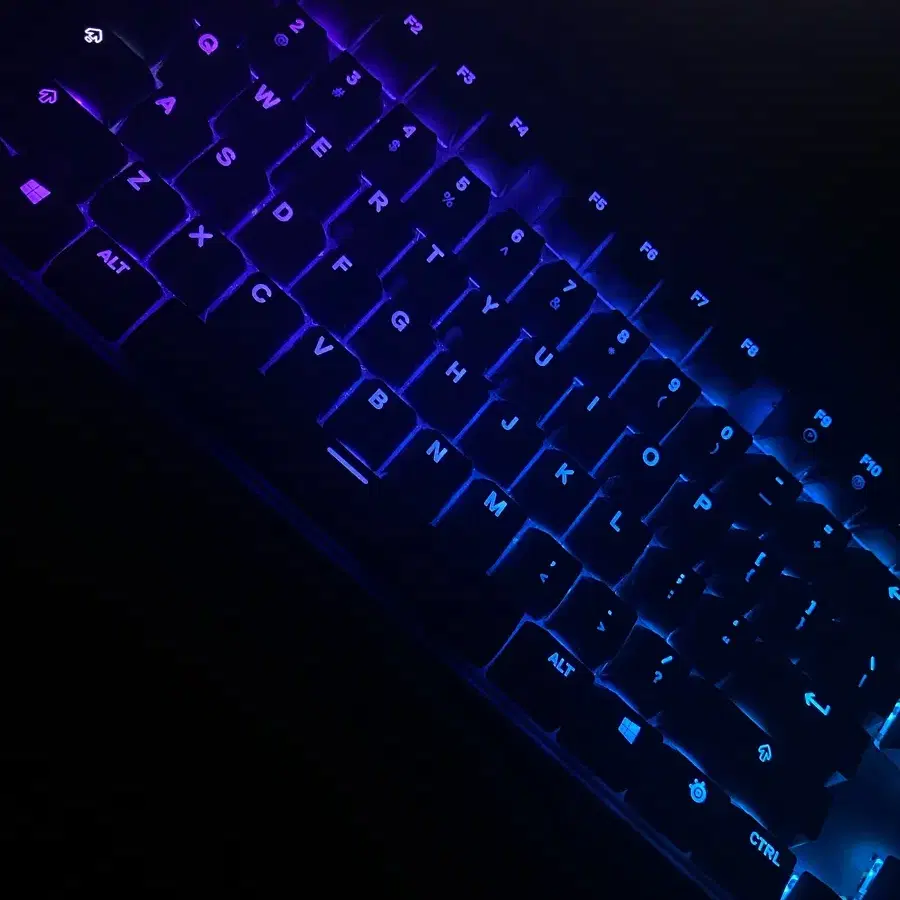 APEX pro tkl 에이펙스 프로 래피드트리거키보드