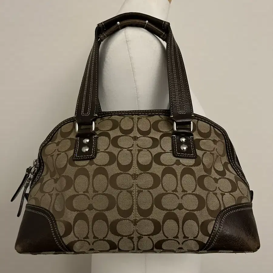 Coach Brown semicircular bag