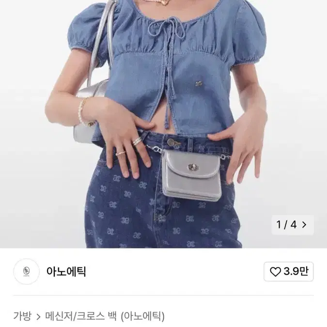 아노에틱 실버 미니백 팝니다