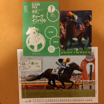 딥임팩트 클리어 파일과 마권 세트