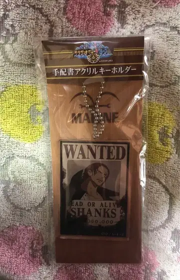 원피스 수배서 아크릴 키링