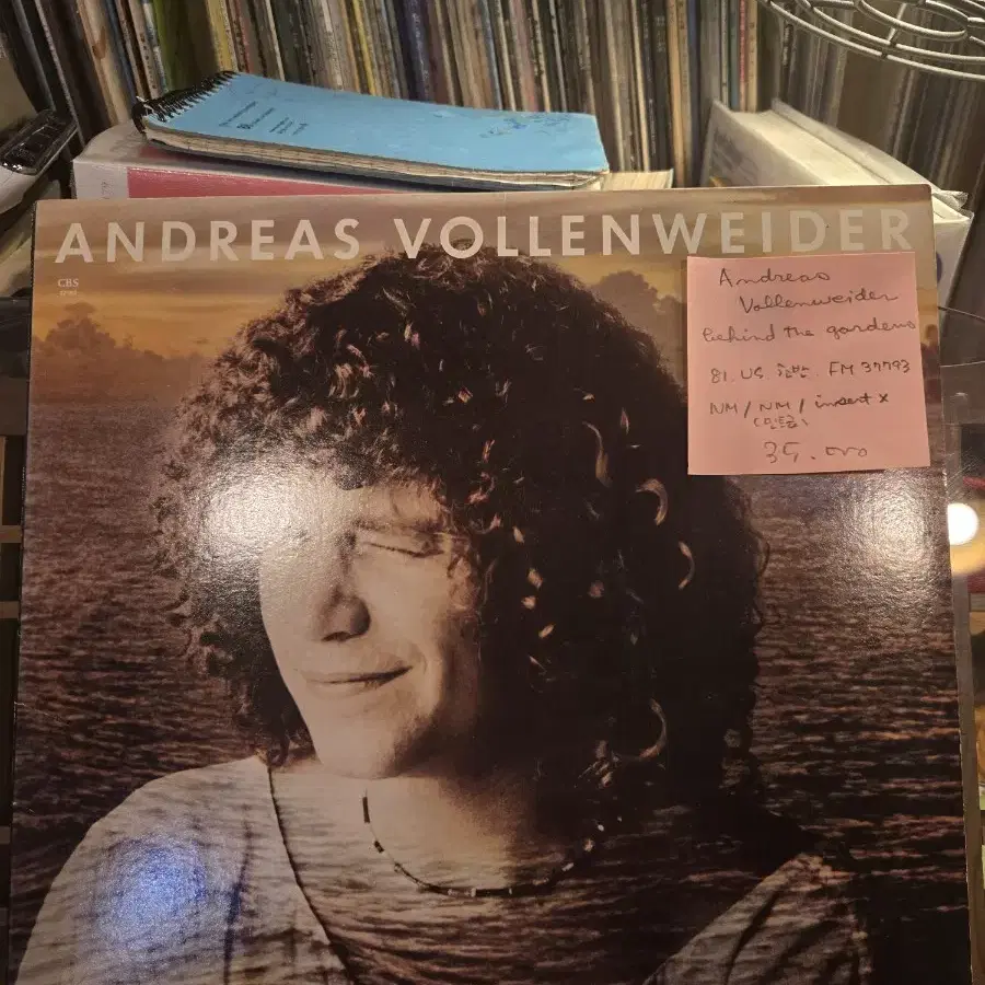 Andreas Vollenweider.behind the gardens.