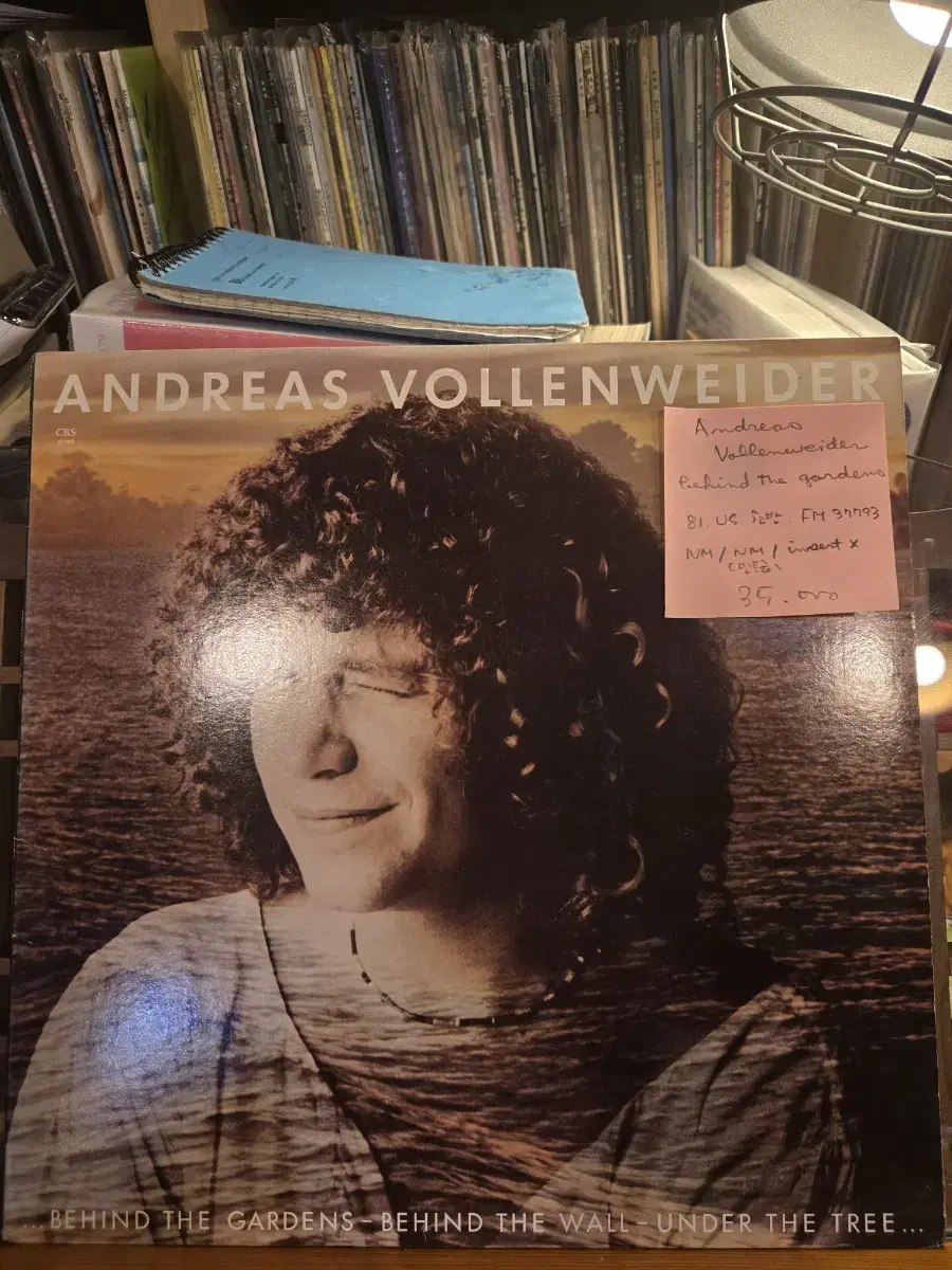 Andreas Vollenweider.behind the gardens.