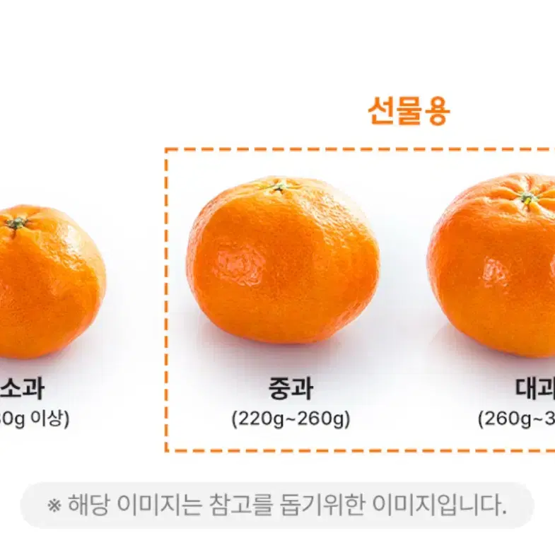 레드향 3kg 선물세트 32,900원!