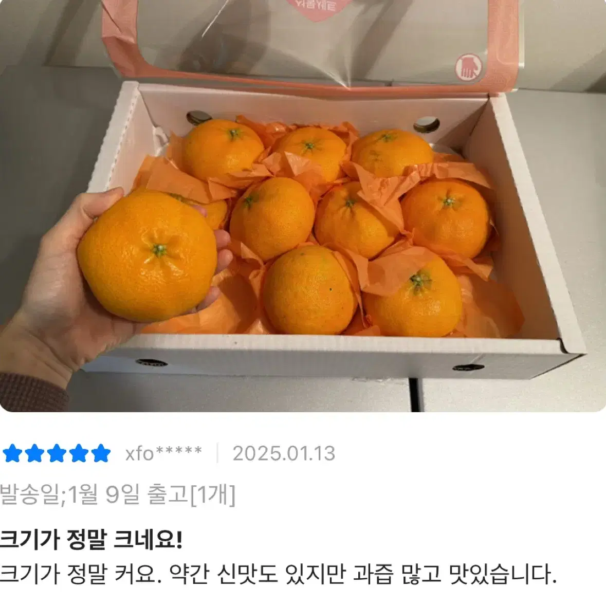 레드향 3kg 선물세트 32,900원!