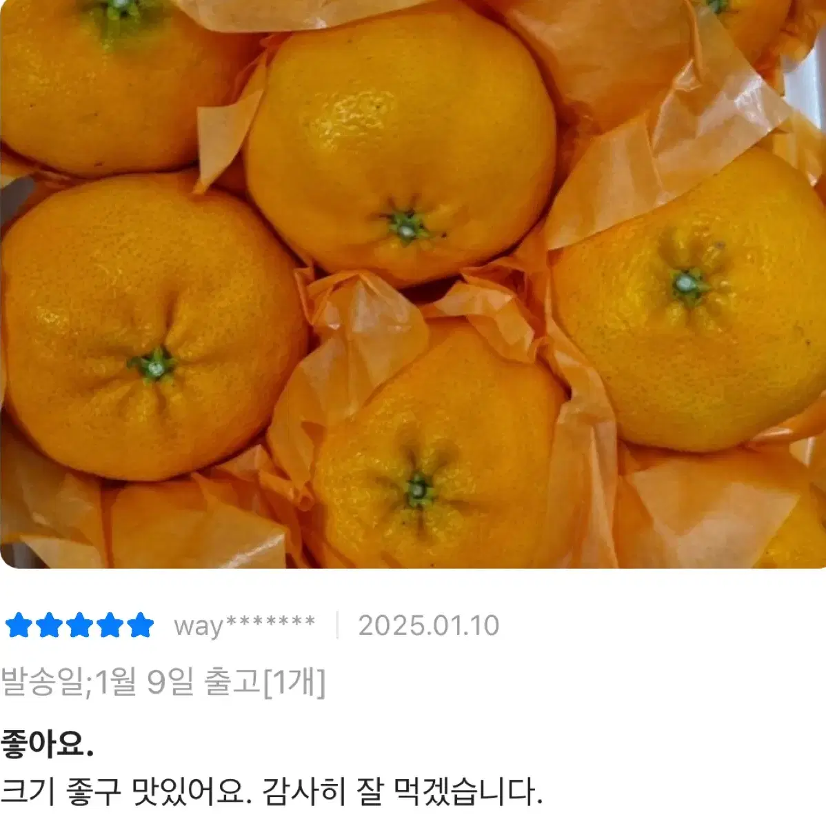 레드향 3kg 선물세트 32,900원!