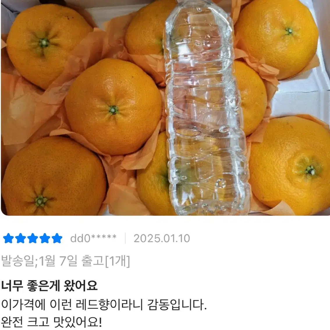 레드향 3kg 선물세트 32,900원!