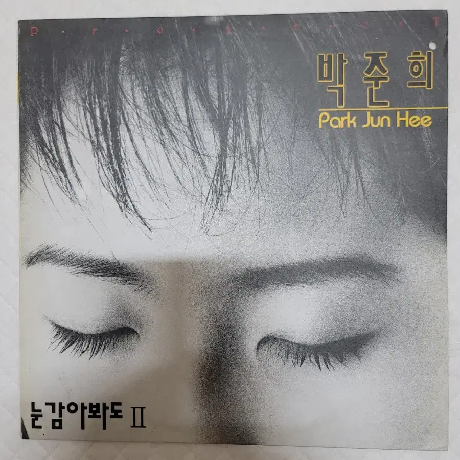 박준희 lp