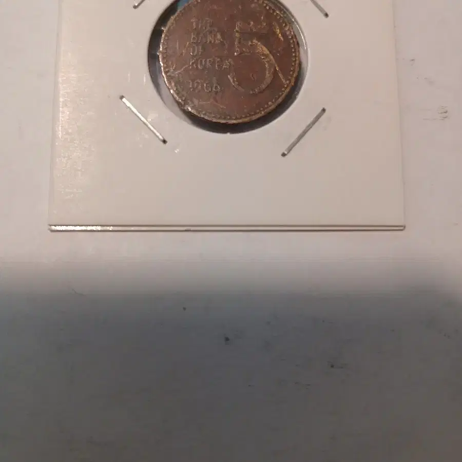 1966년 5원