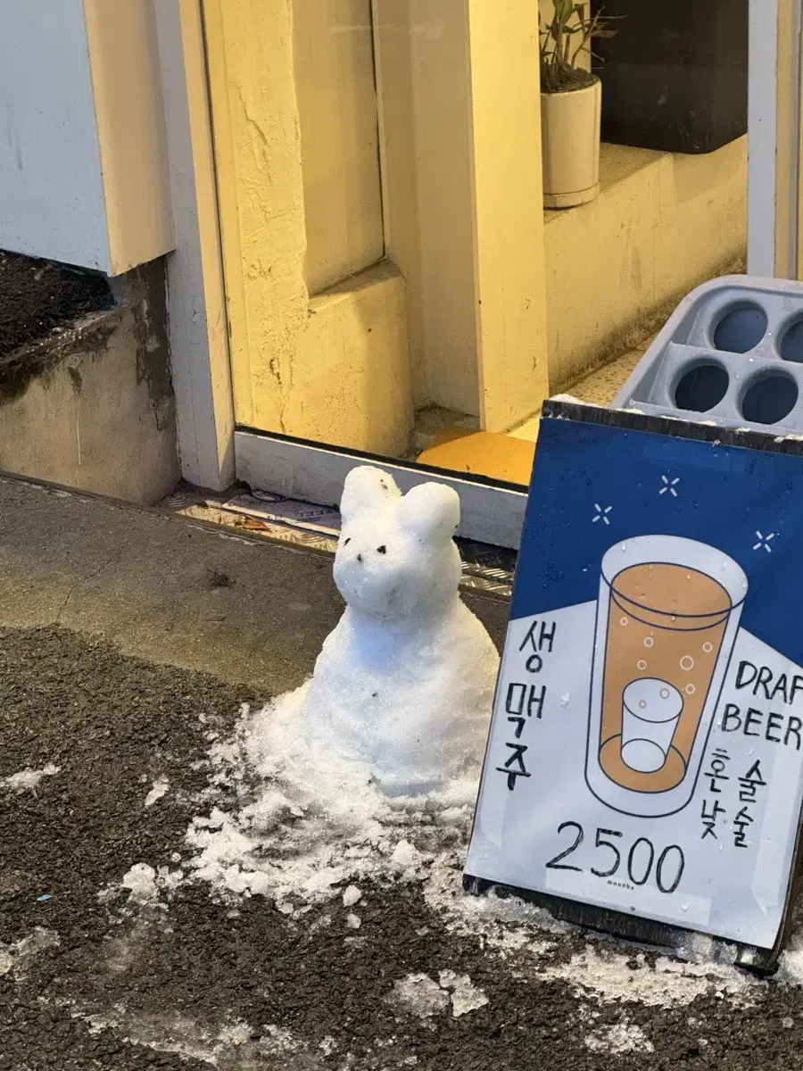 고양이 복막ㅇ약 영양제 (ㄹㅋ) 양도합니다