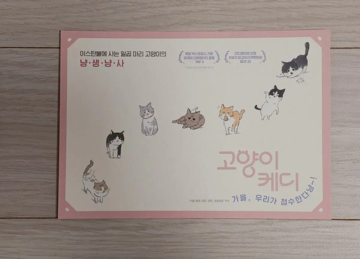 고양이케디(2017년)엽서