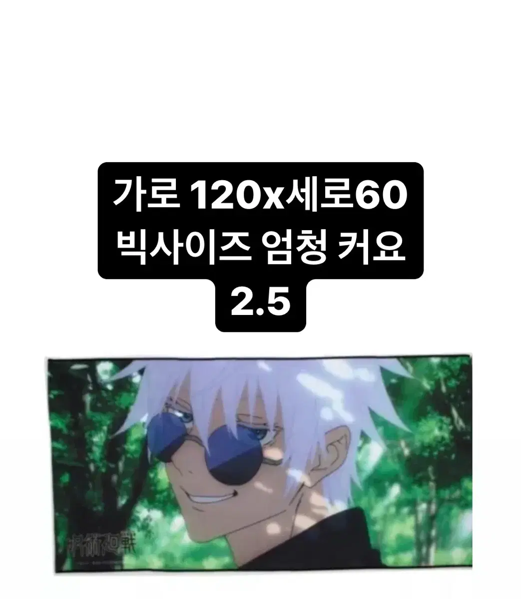 주술회전 고죠사토루 빅타올