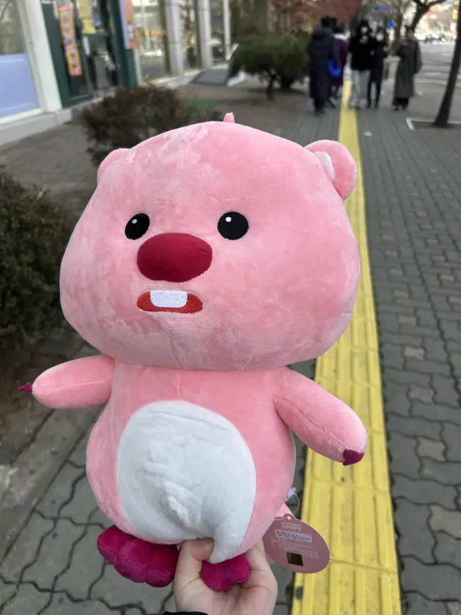 루피 인형 새거 에요