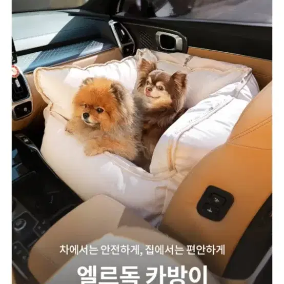 엘르독 카방이 강아지 카시트