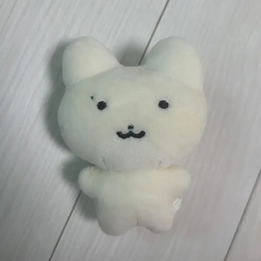 더보이즈 주연 인형 쭈부냥 쮸부냥