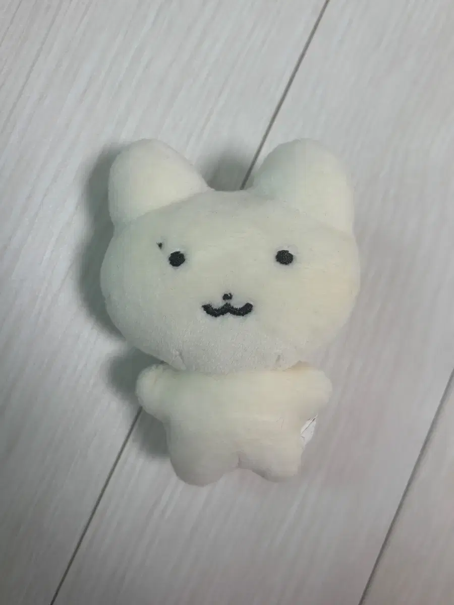 더보이즈 주연 인형 쭈부냥 쮸부냥