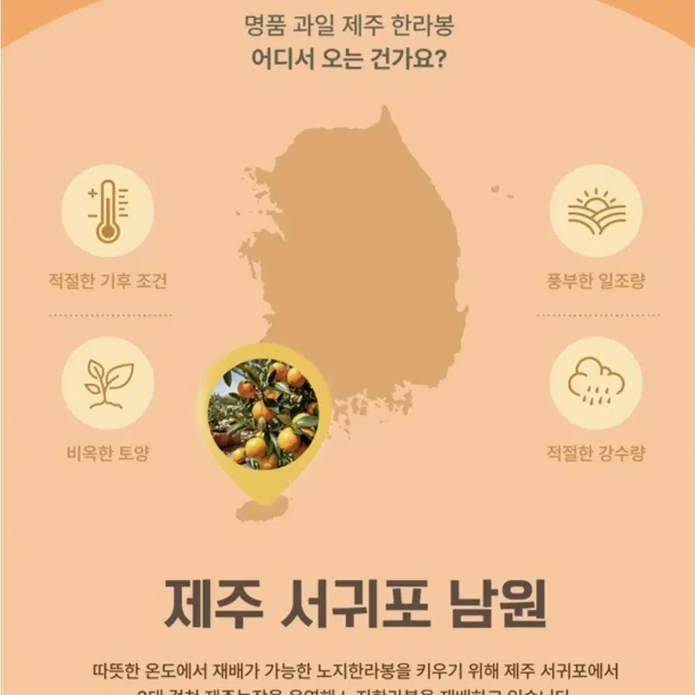 제주 농장 산지직송  저농약 노지 한라봉 5kg