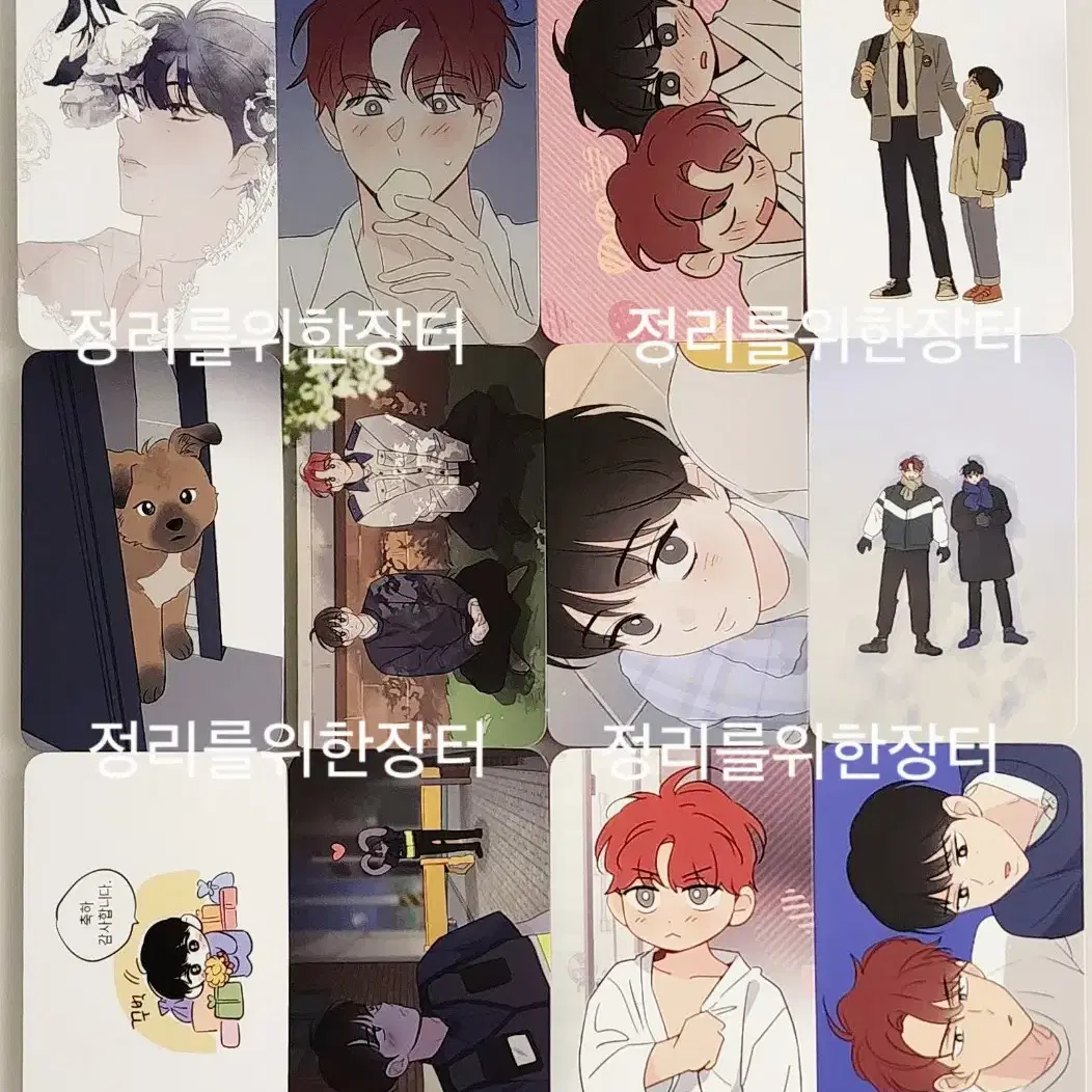 투니크 꿈자리 포카 전 12종