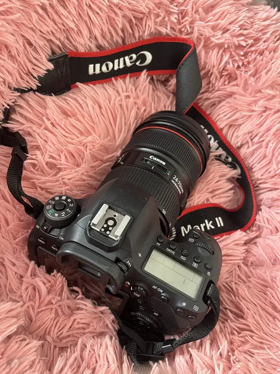 Canon EOS 6D Mark II body