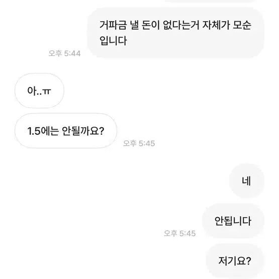 신고+전자모 박제