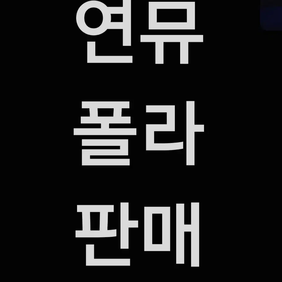 연뮤 폴라 판매