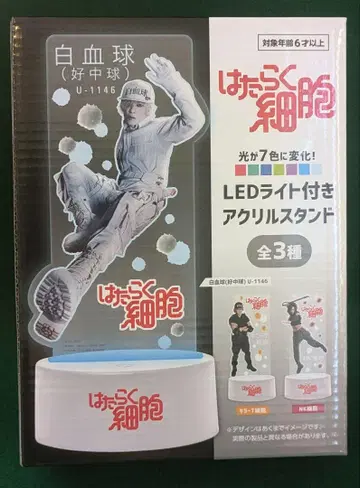 일하는 세포 LED 조명 아크릴 스탠드 백혈구 라운드원 한정판 2.