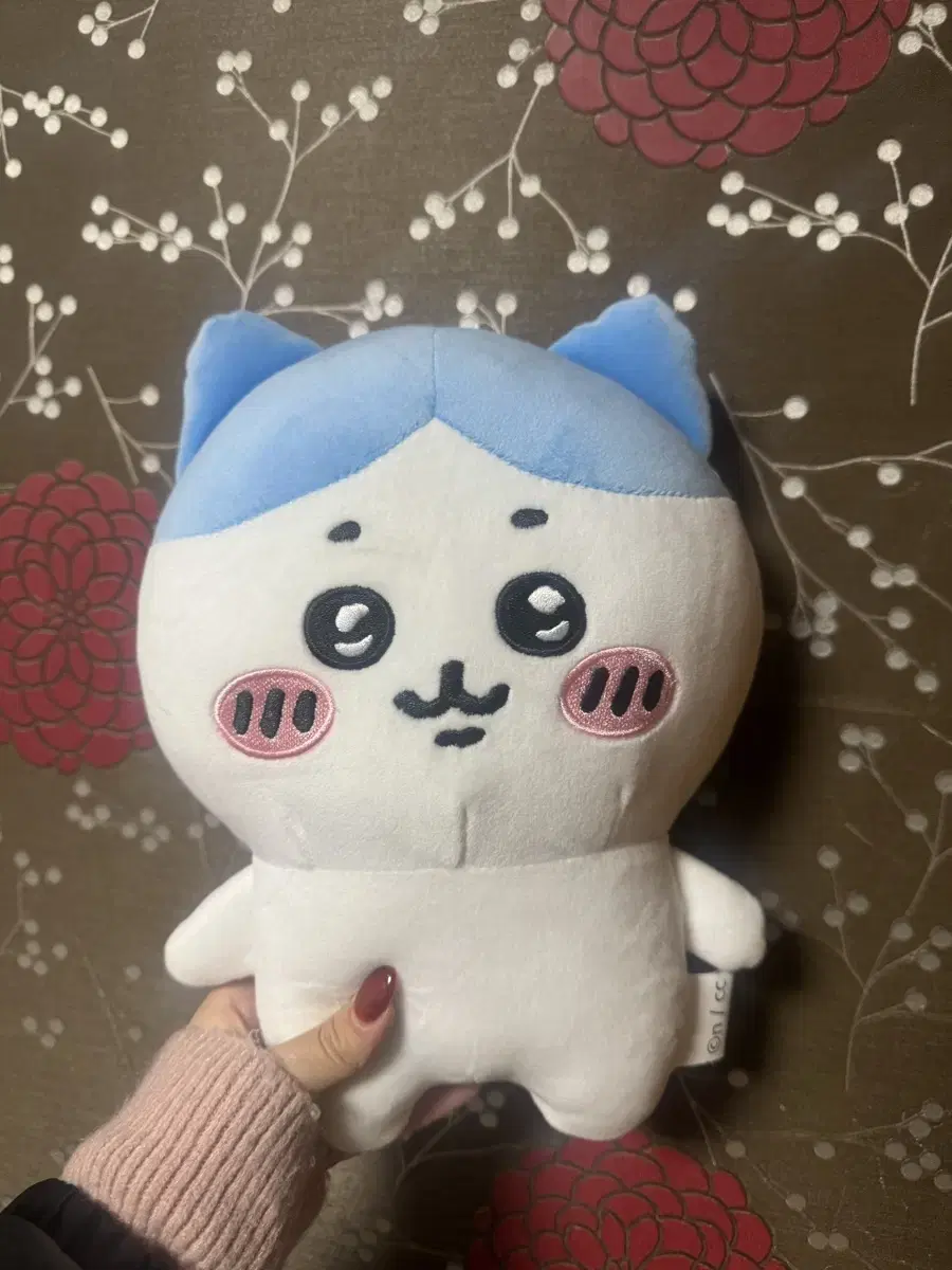 새거) 하치와레 25cm 인형