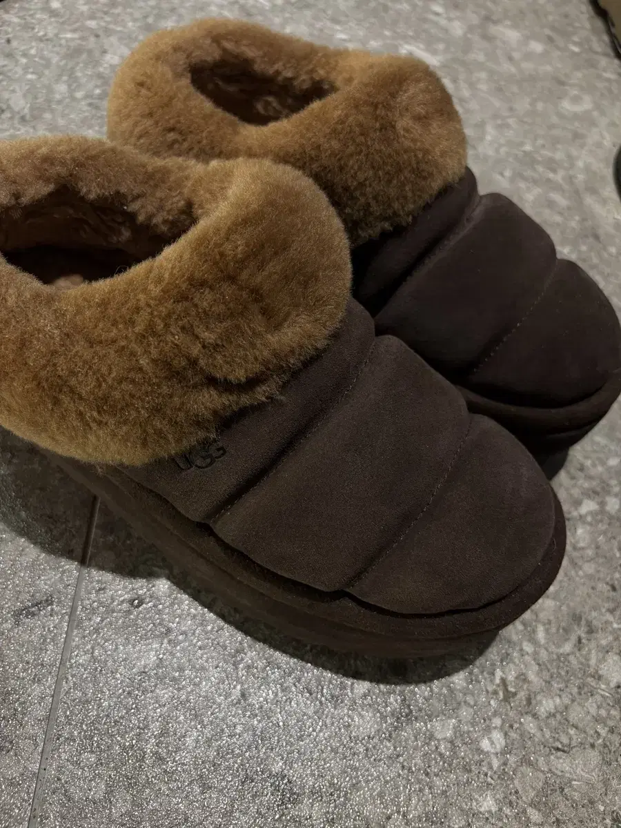 ugg 어그 타즐리타 240 us7