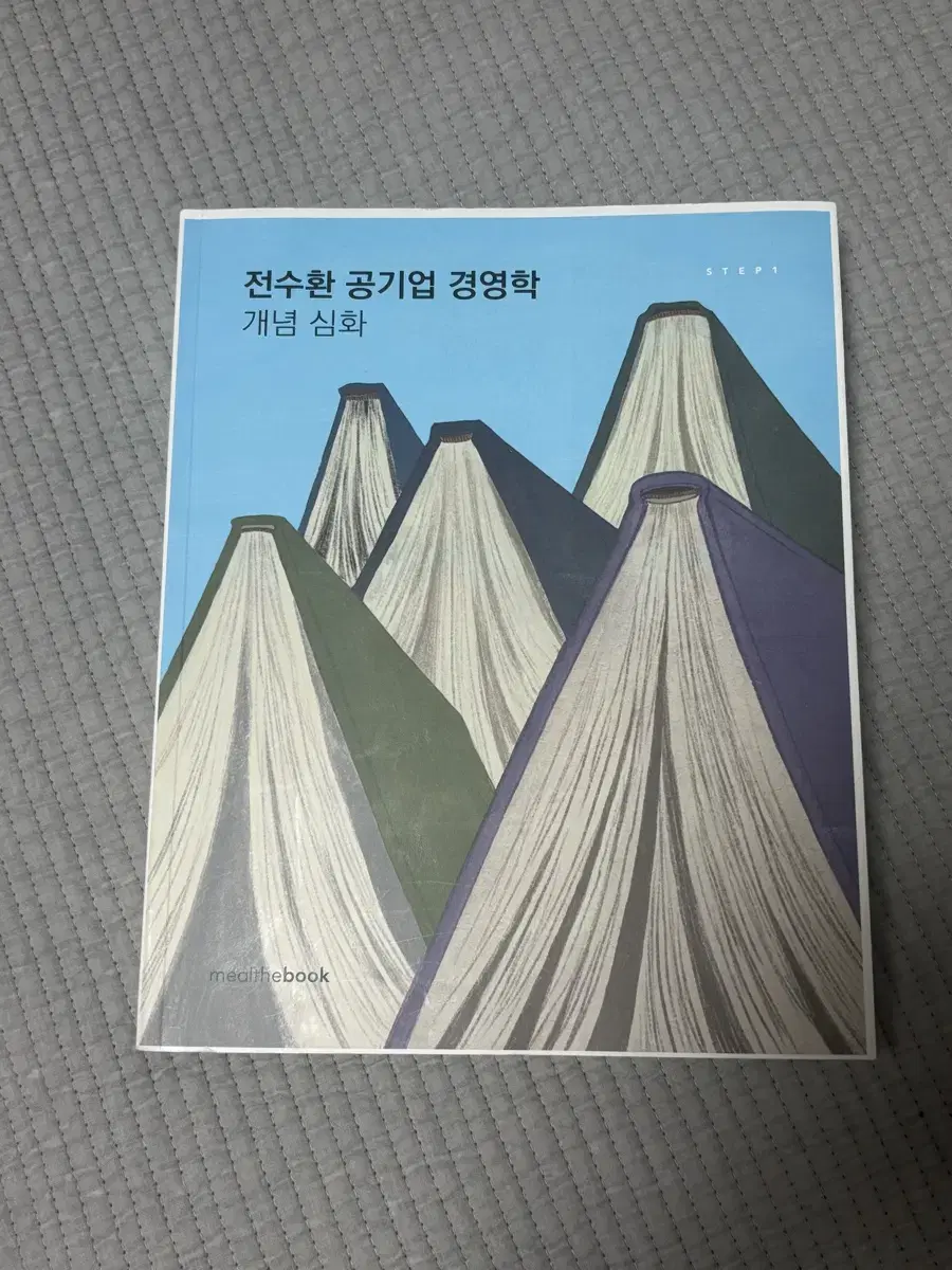 전수환 공기업 경영학 개념심화