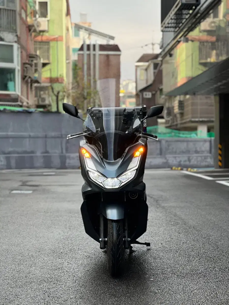 PCX125 2023년식 900KM 신차급 최저가