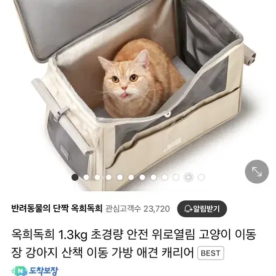 옥희독희 고양이 위로열림 이동장