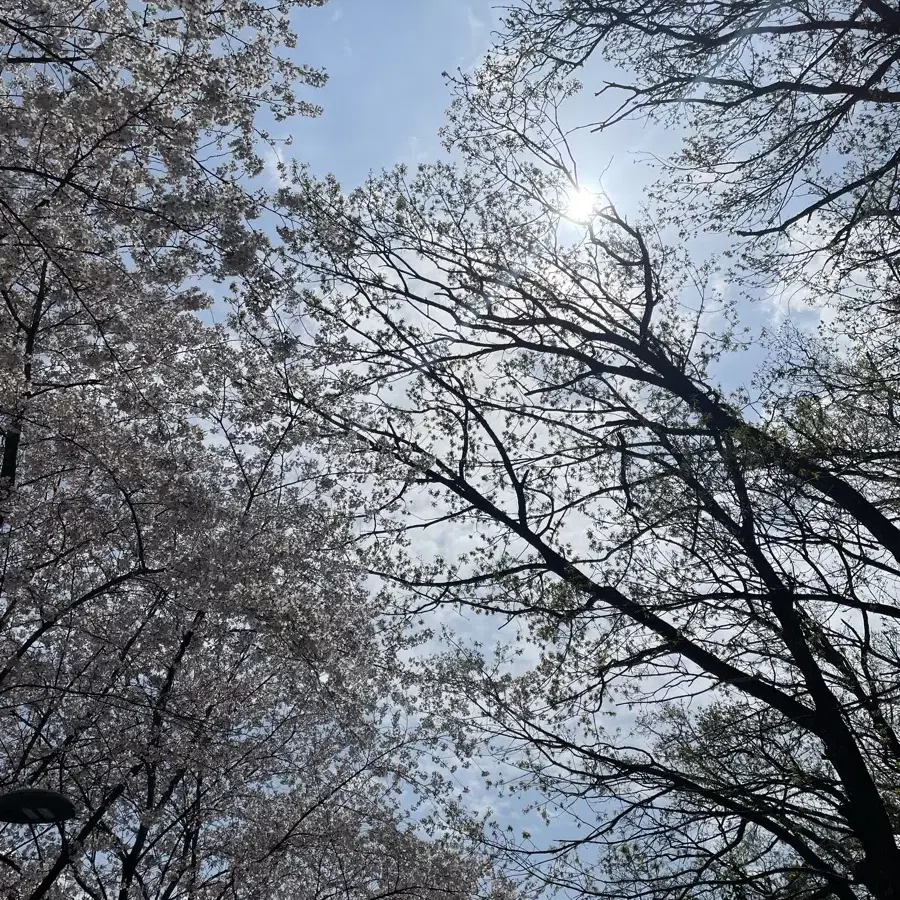 엔시티 드림 재민 인형 잼또 판매 양도