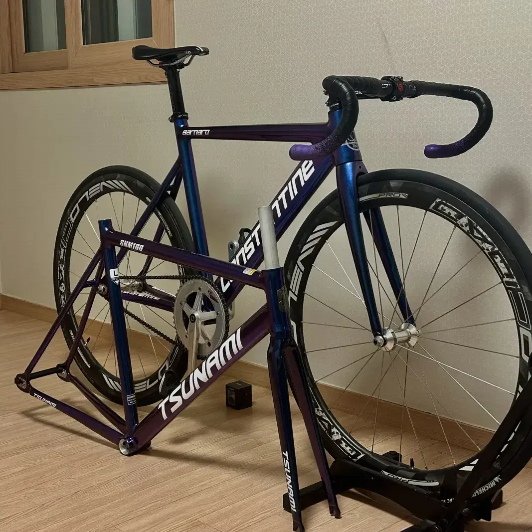 TSUNAMI SNM100 Chameleon 55CM　フレーム Chameleon Frame TSUNAMI SNM100 Fixie Frame Single Speed