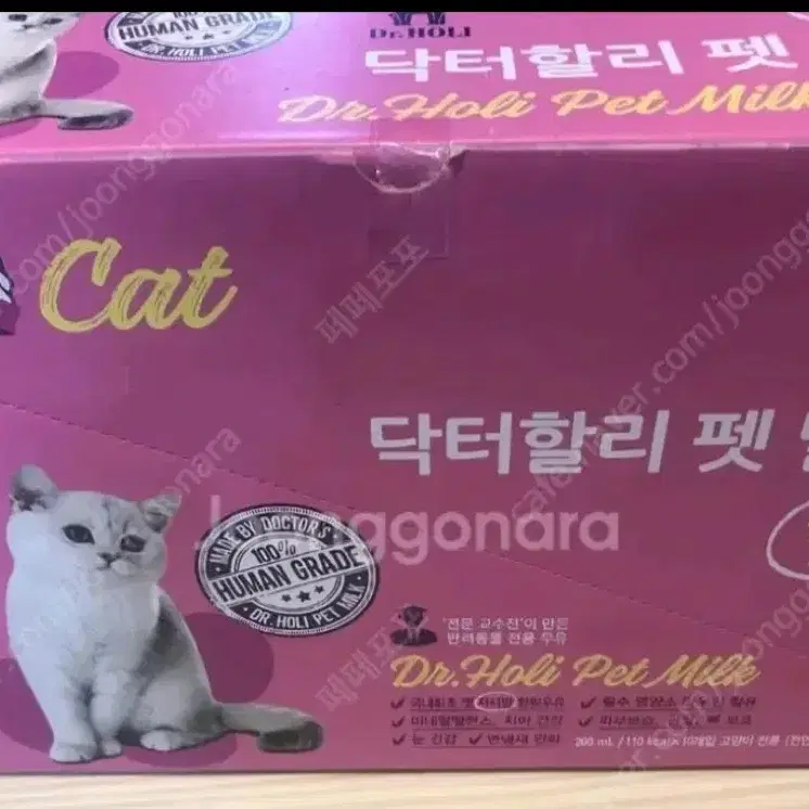 닥터할리 고양이 펫밀크 5개