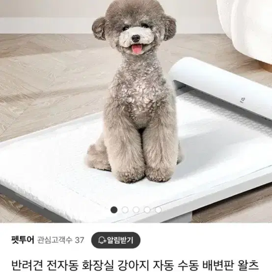 강아지 자동 애견 배변판